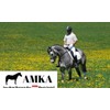 AMKA Leather Pelham Straps Round Stitched Pair of Leather Straps