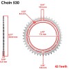 Caltric Red O-Ring Drive Chain & Sprocket Kit for Honda
