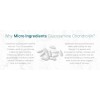 Micro Ingredients Glucosamine Chondroitin MSM & Turmeric 4,000mg Joint Support