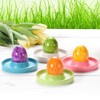 Kesper Egg Cups, Pack of 4, Material: Diameter 10 x