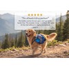 Pet Outdoor Backpack Large Dog Reflective Adjustable Saddle Bag Harness