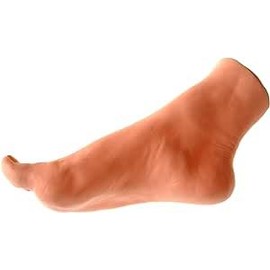 Carokaku Foot Model, Actual Size, Foot Mannequin, Product Display, Beauty Treatment, Picture, Fake Feet, For Photography, Teaching Practice Model (Men/Right Foot)
