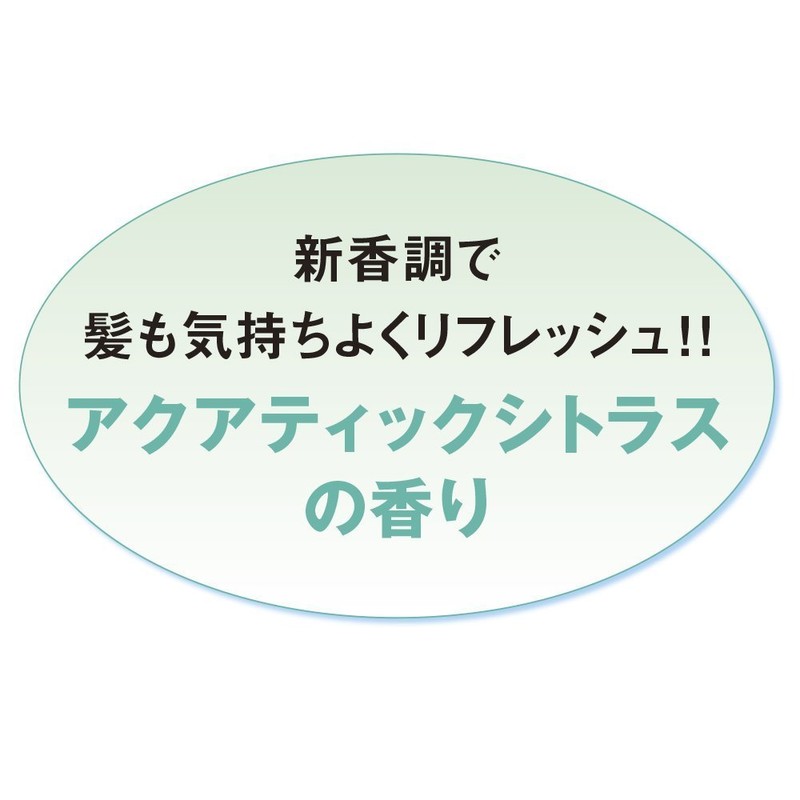 Shiseido SEA BREEZE | Hair Care Conditioner | Conditioner 600ml