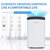 AIRPLUS 30 Pints Dehumidifier for Medium Spaces and Basements (AP1907)