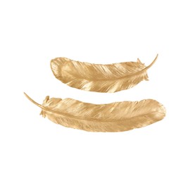 Deco 79 Resin Bird Home Wall Decor Feather Wall Sculpture, Set of 2 Wall Art 30", 23" W, Gold