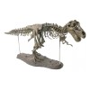 Jextech Esqueleto Tiranosaurio Rex T Rex Dinosaurio Fosil Armar 70cm