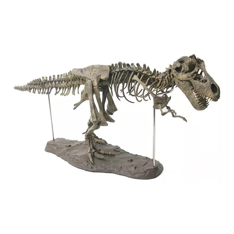 Jextech Esqueleto Tiranosaurio Rex T Rex Dinosaurio Fosil Armar 70cm