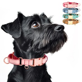 WHIPPY Vegan Leather Dog Collar No Slip Martingale Dog Collar with Quick Release Metal Buckle