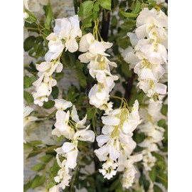 AMERIQUE AMERIQUE 6 Feet Gorgeous and Dense Blooming Wisteria Artificial Tree, Cream White, Pre-Potted with Nursery Pot, Real Touch Tech., Green and White
