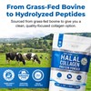 The Intelligent Health Halal Collagen Powder, Bovine Peptides, 450g