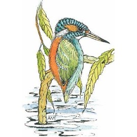 Art Stamps Anne Wales-Smith Kingfisher Animal Stamp,