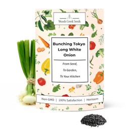 Woods Creek Seeds: Bunching Tokyo Long White Onion Seeds for Planting - Heirloom Green Onion Seeds for Planting - Non-GMO Heirloom Seed Pack of Crisp Onions for Outdoors and Home Gardening