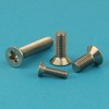 Eisenwaren2000 | M2.5 x 4 mm Countersunk Screws with Phillips