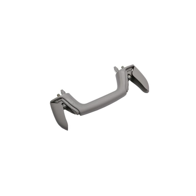 GM Genuine Parts 95981357 Titanium Roof Rail Assist Handle