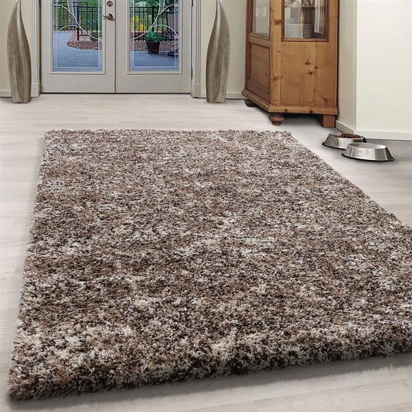 Shaggy Rug Trellis DESIGN Modern Rugs Living Room Extra Large Small Rectangular Size Soft Touch Thick Fluffy Pile Living Room Area Rugs Non Shedding (ENJ BEIGE, 160X230CM)
