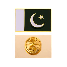 Desert Cactus Pakistan Flag Lapel Pin Country Enamel Made of Metal Souvenir Hat Men Women Patriotic (Rectangle Pin)