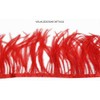 Nicole Knupfer - Nastro con piume di struzzo, strisce di