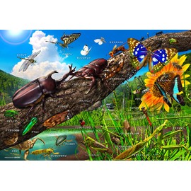Beverly 100-034 100-Piece Jigsaw Puzzle, Japanese Insects, 10.2 x 15.0 inches (26 x 38 cm), Made in Japan