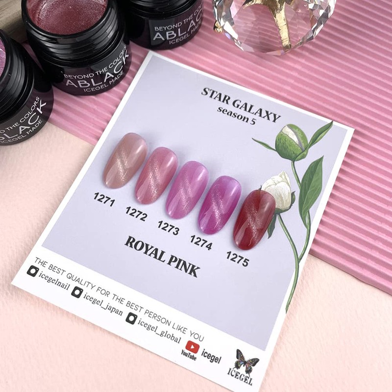 ICE GEL Color Gel ABLACK Star Galaxy Gel 1272 0.1