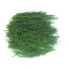 Tin Roof Treasure Fresh Eastern White Pine Needles, 1lb for