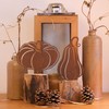 Deko Kind - Rusty Pumpkin Set of 2 - Premium