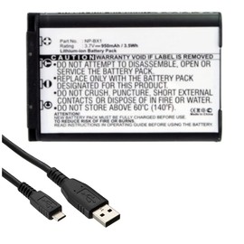 Accessory Kit Compatible with Synergy Digital, Works with Sony Cyber-Shot DSC-RX100 VA Digital Camera Includes: SDCAM-L9169 Battery, USBM USB Cable