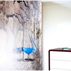 infactory Goetheglas: Historical Goethe Barometer Glass (Pine Barometer, Retro Weather Station Barometer, Thermometer)