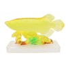 7" Feng Shui Yellow Arowana Fish Statue on Glass Base