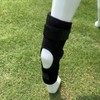 Dog Rear Leg Brace Prevent Licking Fixing Strap Spring Support