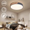 EDISLIVE Ceiling Light Dimmable 19inch Modern Minimalist LED Round Shaped