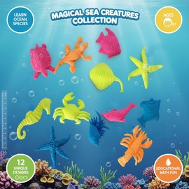 Funlop 24 Pack Sensory Jelly Water Growing Sea Life Creatures Animals, Amazing, Fun, Educational, Learning Toy for Children Boys and Girls (24 Assorted Sea Creatures and Colors)