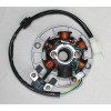 Apollo Magneto Stator 6 Coil Apollo Dirt Bike 125cc 140cc