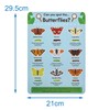 Baker Ross FN460 Bee & Butterfly Identification Sticker Fact Sheets