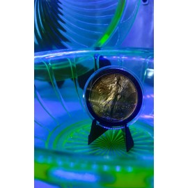 Coin Display Stand for Silver Eagles, Silver Rounds, Dollars, Krugerrands, Gold