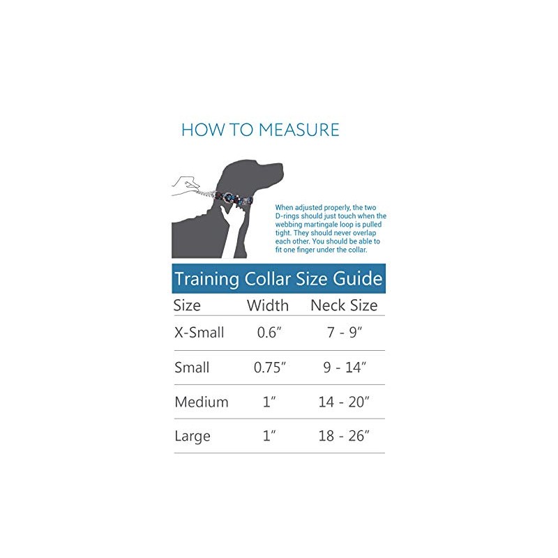 RC Pets Collar de Entrenamiento Martingale de 3/4 Pulgadas, pequeño,