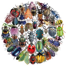 50 Realistic Insect Stickers - Transparent & Waterproof Insect Stickers for Kids Adults Teachers, Animal Decals for Laptop Water Bottle Scrapbook Classroom