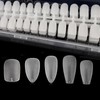 HAPVITAL Nail Tips, Ultra Thin, Long, Clear, 240 Pieces, Summer