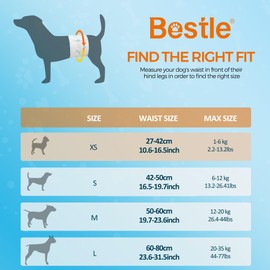 Bestle Male Dog Wrap, Disposable Dog Diapers, 40 Count, XS (Waist 10.6”-16.6”), Wetness Indicator, Ultra Protection, Leak Proof, Super Absorbent, Soft