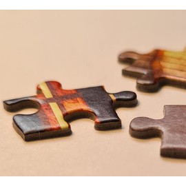 CASTORLAND 1000 Piece Jigsaw Puzzle, Bridges of Florence, Arno, Tuscany, Puzzle of Italy, Adult Puzzle, Castorland C-104826-2