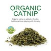 TTcat Organic Catnip Toy for Cats & Kittens,Cat Chew Toy