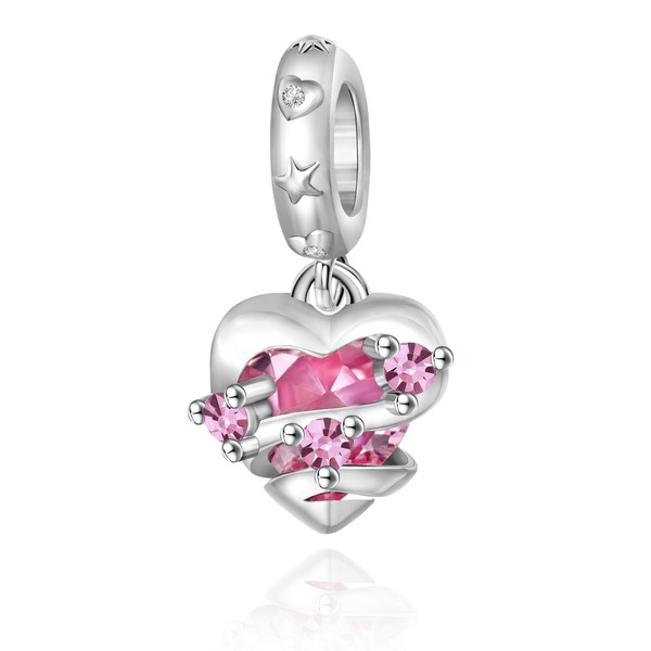BIZK 925 Sterling Silver Charm for Bracelets and Necklaces Charms