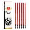 Daerthotk 6 pack Charcoal Pencils Drawing Set - Soft, Medium