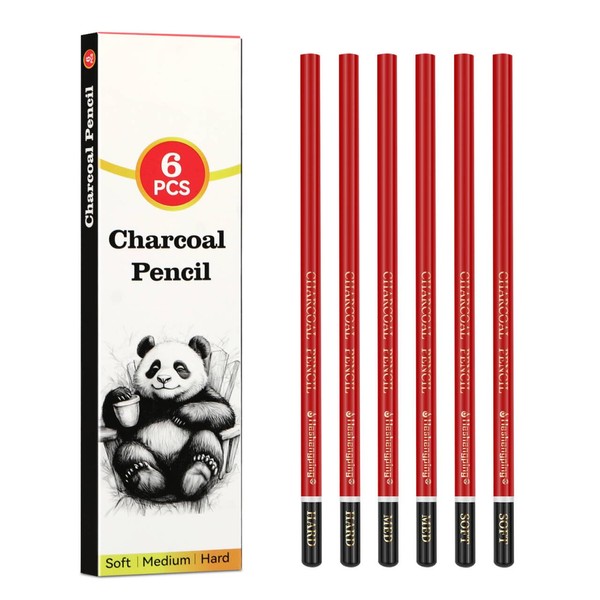 Daerthotk 6 pack Charcoal Pencils Drawing Set - Soft, Medium