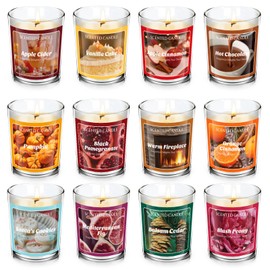 SCENTORINI Scented Candle, 50g*12 Scents with Surprise Holiday Natural Soy Candle, Gift Box Set for Outdoor Home, Party Decoration