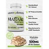 Natures Elements Maitake Mushroom – Pack of 3 – 10:1