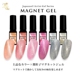 Reliable Japanese Magnetic Gel Artist Gel Series Color Gel (AG4)