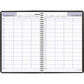 2022 Four Person Group Daily Appointment Book by AT-A-GLANCE, 8" x 11", Large, DayMinder, Black (G56000)