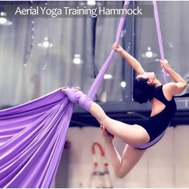 Aerial Silks Deluxe Equipment Set for Aerial Yoga, Aerial Yoga Hammock, Aerial Acrobatic,Circus Arts, Aerial Dance(L:10m W:2.8m） (Red)