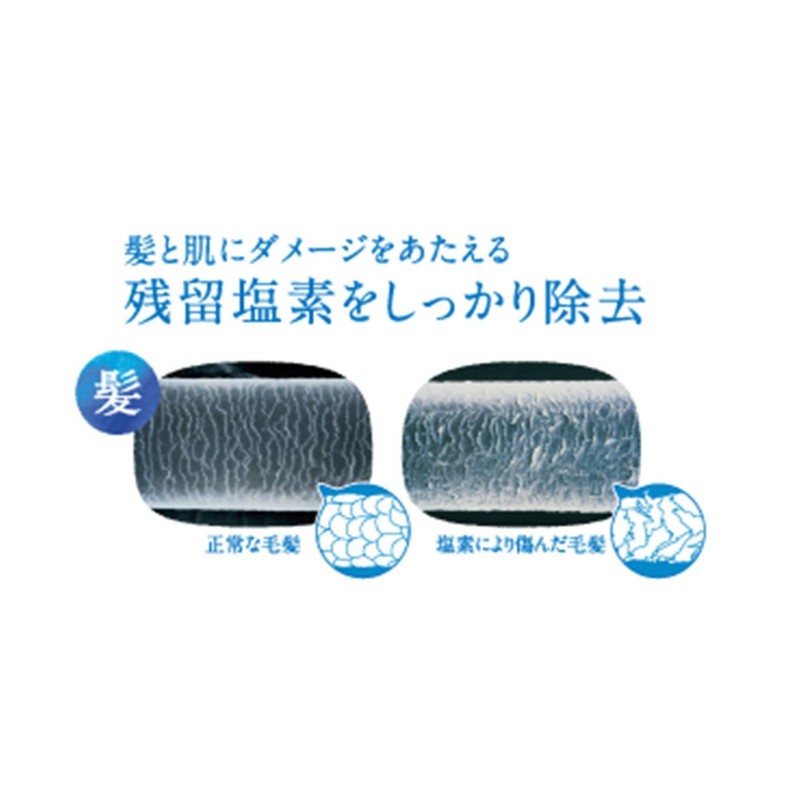 Toray torebi-no Water Shower toresyawa- Shower Head RS52 – BG,
