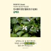 곰보배추 엑기스 곰보배추 추출물 배암차즈기 삼백초 시럽 곰배진 곰베진 Gombo